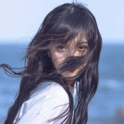 守护萝卜手游(暂未上线)v1.1 安卓版